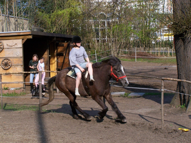 Ponyreiten für Kinder an der Longe auf unserem Ponyhof